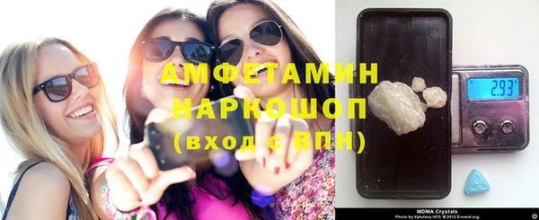 прущие грибы Абаза