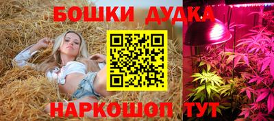 jwh Новодвинск