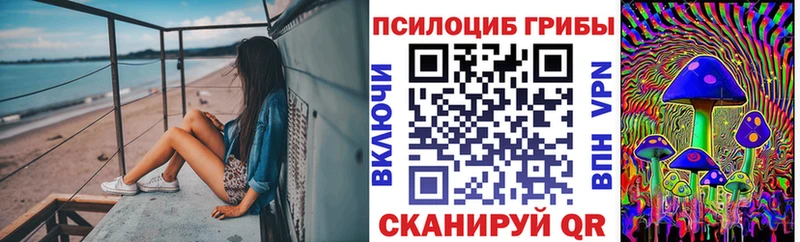 Галлюциногенные грибы Psilocybe  наркошоп  Чапаевск 