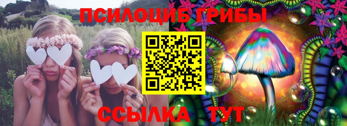 Чапаевск  Псилоцибиновые грибы Magic Shrooms  Вход с VPN 